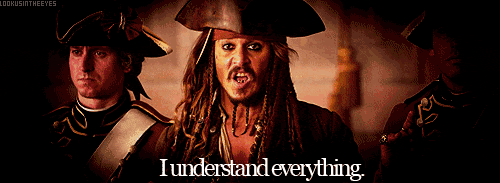 pirates-understand-everything.gif